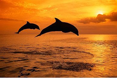 《师父》实体版将于明年春季发行 全新预告发布