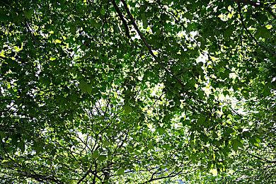 《极乐迪斯科：最终剪辑版》XB＆NS版获得PEGI分级